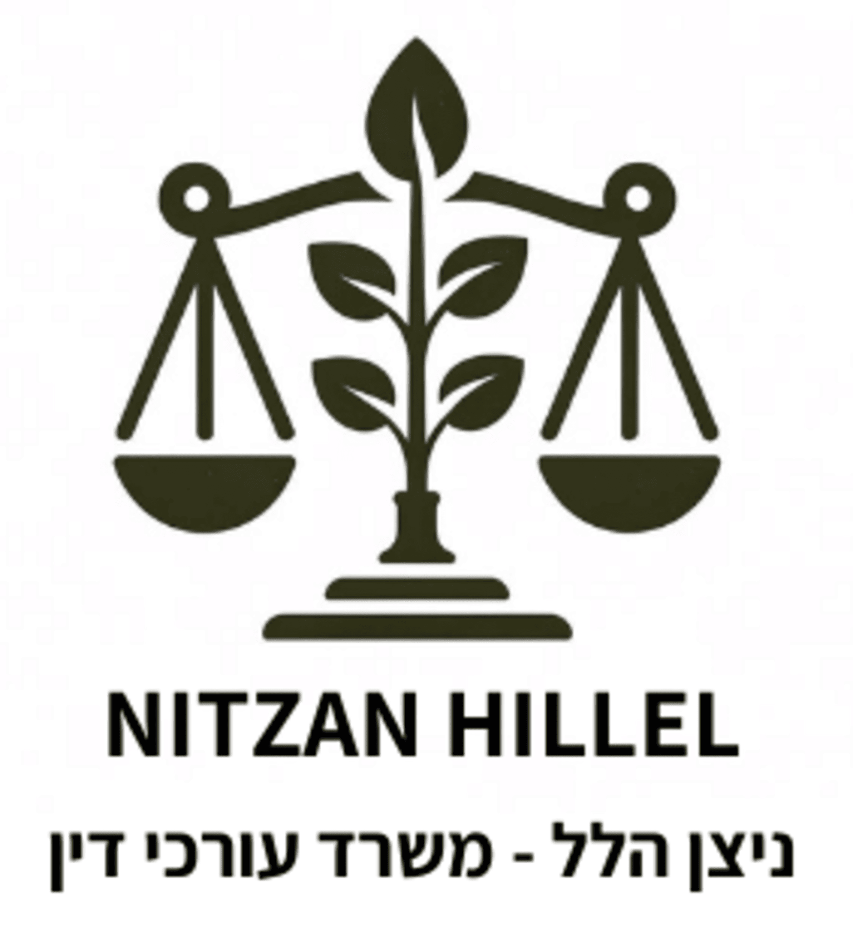 NITZAN HILLELtt 50 50 1
